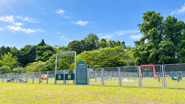 【福岡・東峰村】THE DOG CAMPUS -KOISHIWARA-、独自の25％割引「九州を旅して応援プラン」を開始