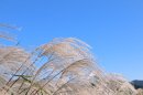 秋が深まるにつれ乾燥の季節へ 秋が深まるにつれ乾燥の季節へ