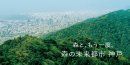神戸市建設局 森林・防災部 森林課 神戸市建設局 森林・防災部 森林課