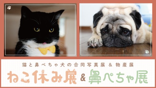 【横浜高島屋】総勢約110人のクリエーターによるキュートな“ねこ＆いぬ” の作品が満載！＜ねこ休み展＆鼻ぺちゃ展＞開催！