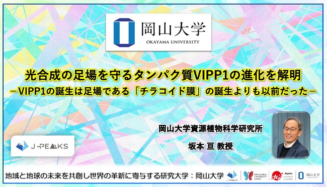 【岡山大学】光合成の足場を守るタンパク質VIPP1の進化を解明-VIPP1の誕生は足場である「チラコイド膜」の誕生よりも以前だった-