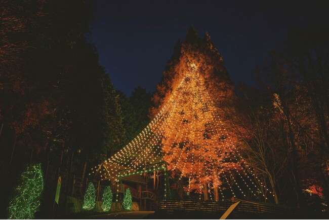 神戸クリスマスマーケット2026のシンボルツリー「森のクリスマスツリー（高さ25m)」の点灯セレモニーを11/7（土）に開催。煌びやかな「古城のクリスマス（展望広場全域）」の点灯セレモニーも同日開催。