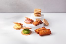 集合写真 集合写真