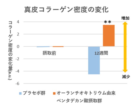 ポーラ、日本初※1「真皮コラーゲン密度を維持することで、「肌の健康に役立つ」の届出表示で受理