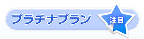 プラチナプラン