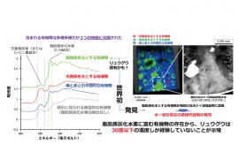 リュウグウ粒子に含まれる多様な有機物。大別すると三種類の異なる特徴(色ごとに異なる官能基を持つ)を持つことが判明したという。(画像: JAXAの発表資料より) リュウグウ粒子に含まれる多様な有機物。大別すると三種類の異なる特徴(色ごとに異なる官能基を持つ)を持つことが判明したという。(画像: JAXAの発表資料より)